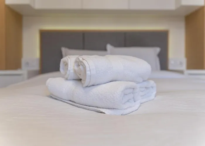 Cozy * 普罗夫迪夫